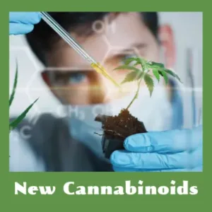 New Cannabinoids